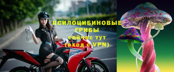 эйфоретик Верея